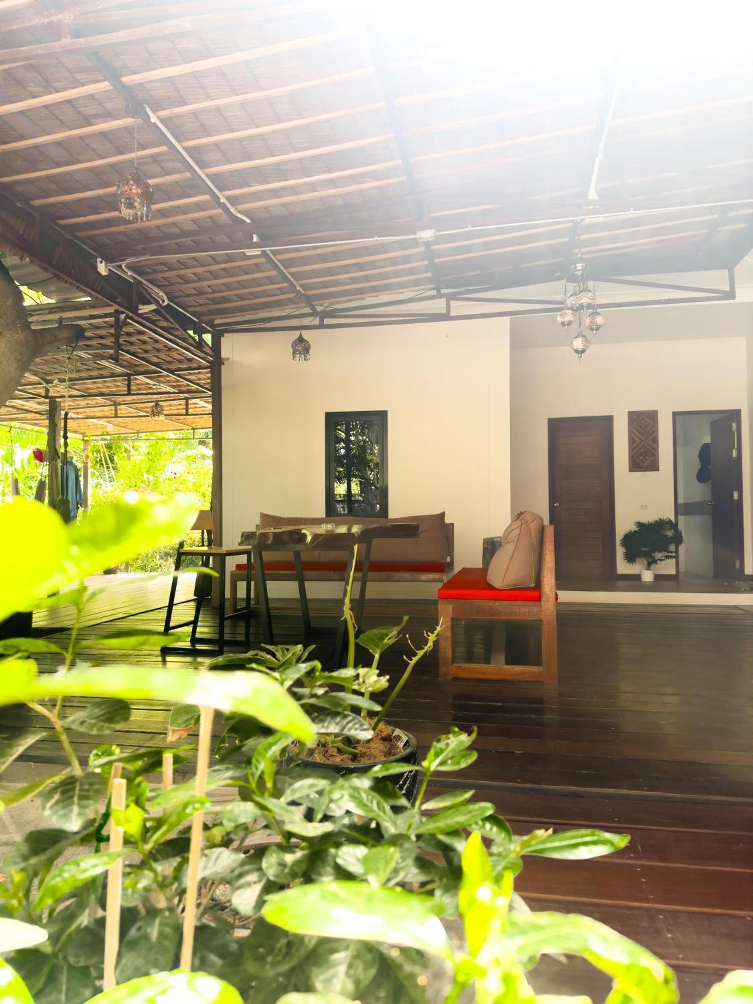 Hotel Jungle Vibes à Thong Sala Extérieur photo